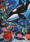 Preview: Panel 60 x 110 cm, 2 Orka Wale im Korallenriff