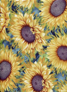 Große Sonnenblumen auf Blau vernebelt mit Gold