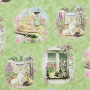 Bilderstoff, 4 verschiedene Katzenportraits