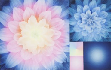 Panel 72 x 110 cm, KaBlooms, pfirsich-rosa-blau