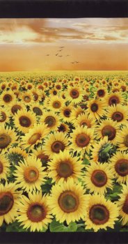 Panel 60 x 110 cm, Sonnenblumenfeld zum Sonnenuntergang