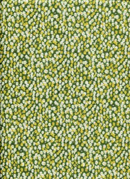 Gelb-grüne Blumenwiese