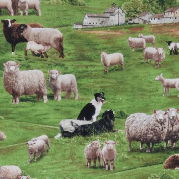 Bilderstoff, Schafe auf dem Land