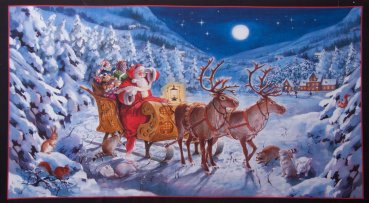 Baumwollstoff Panel 60 x 110 cm, Weihnachtsmann im Schlitten